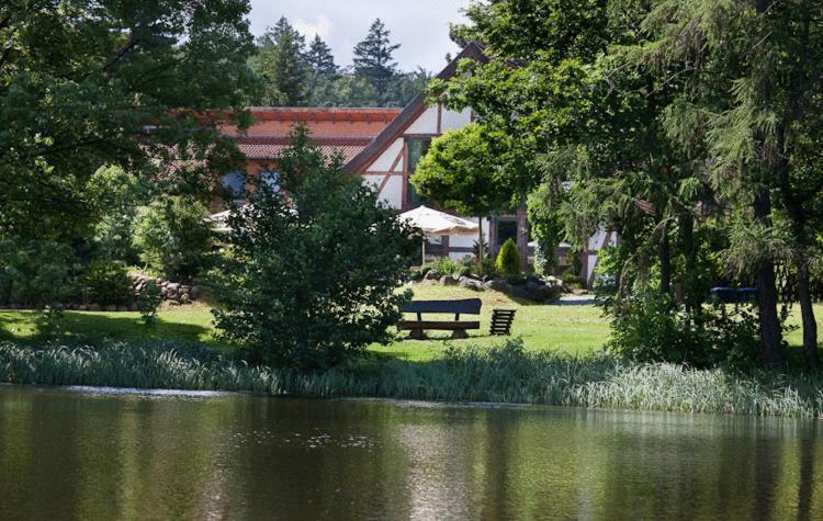 Landhaus Tonmuehle Ilsenburg Esterno foto